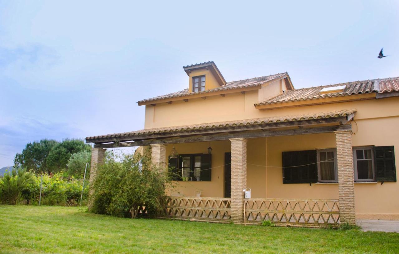 Pensjonat Jasmine House Tsilivi  Zewnętrze zdjęcie