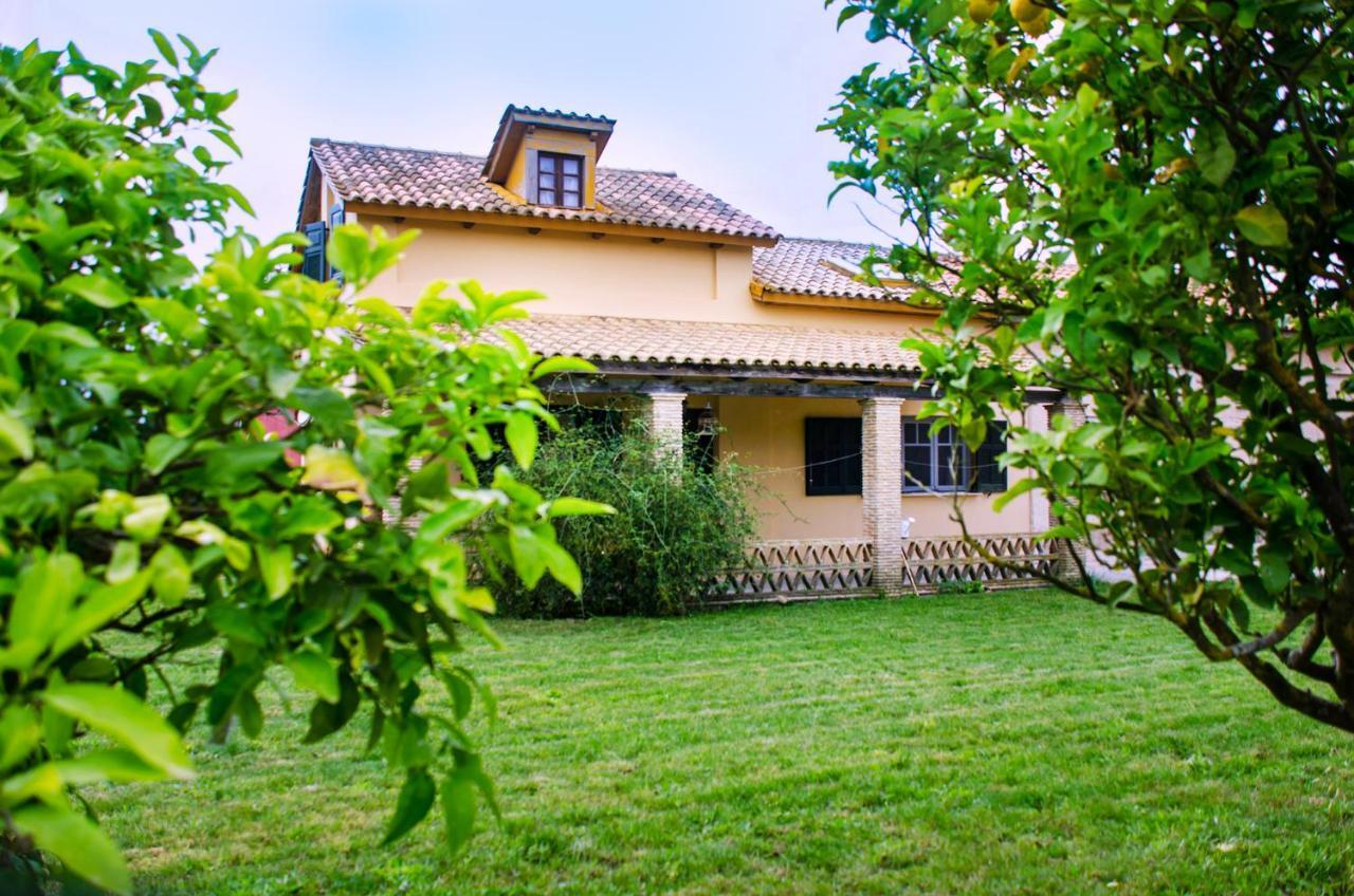 Pensjonat Jasmine House Tsilivi  Zewnętrze zdjęcie